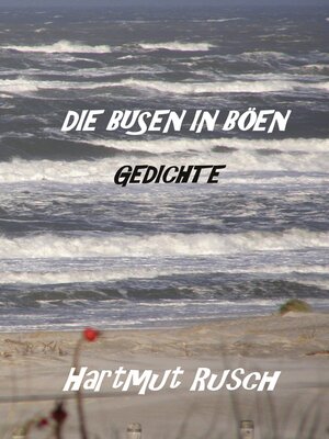 cover image of Die Busen in Böen